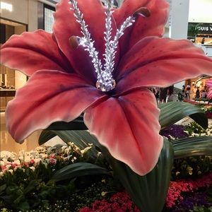 Meet your Posher, Noemi